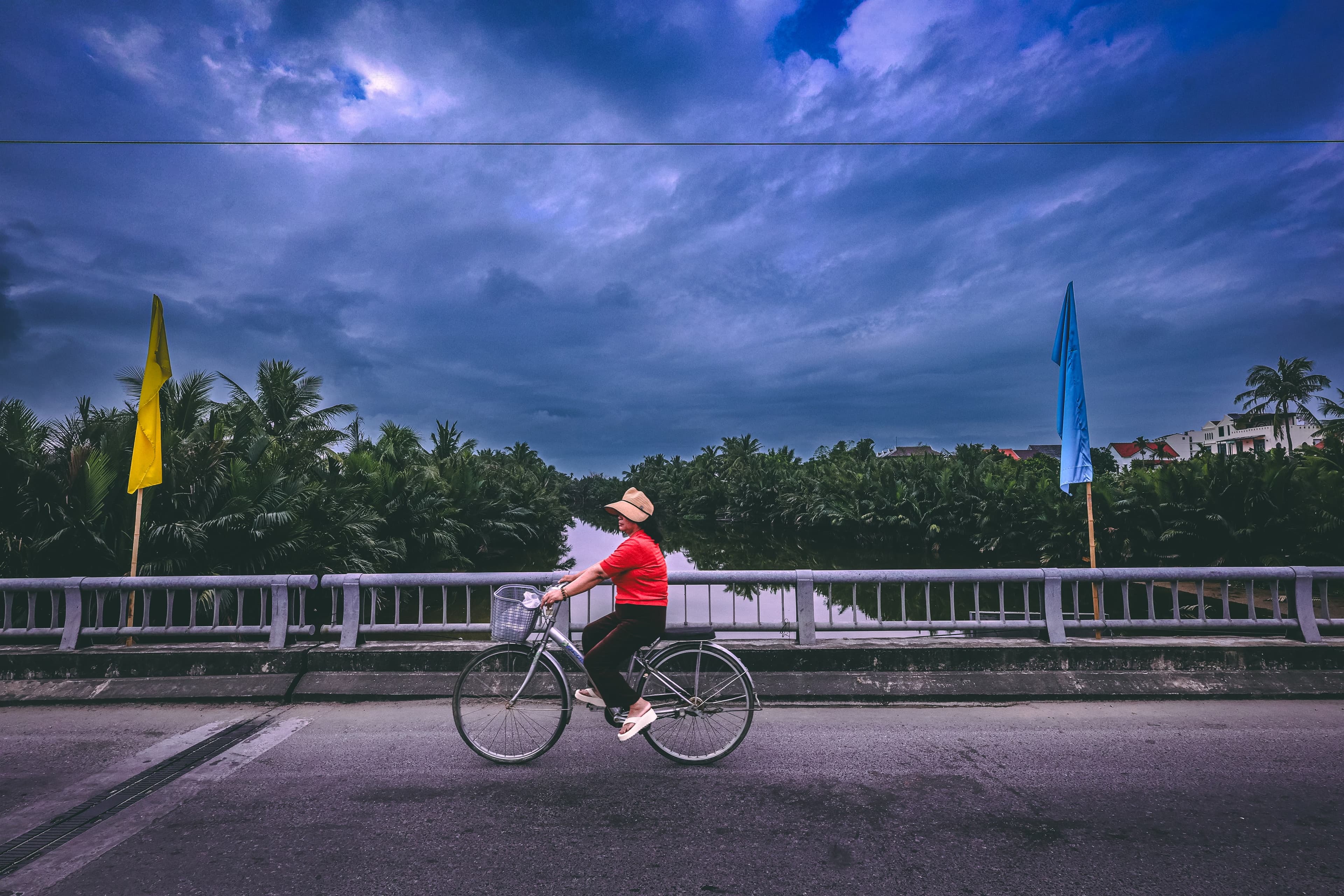 A woman cycles across a bridge at dusk, a palm-lined river and a darkening blue sky behind her.