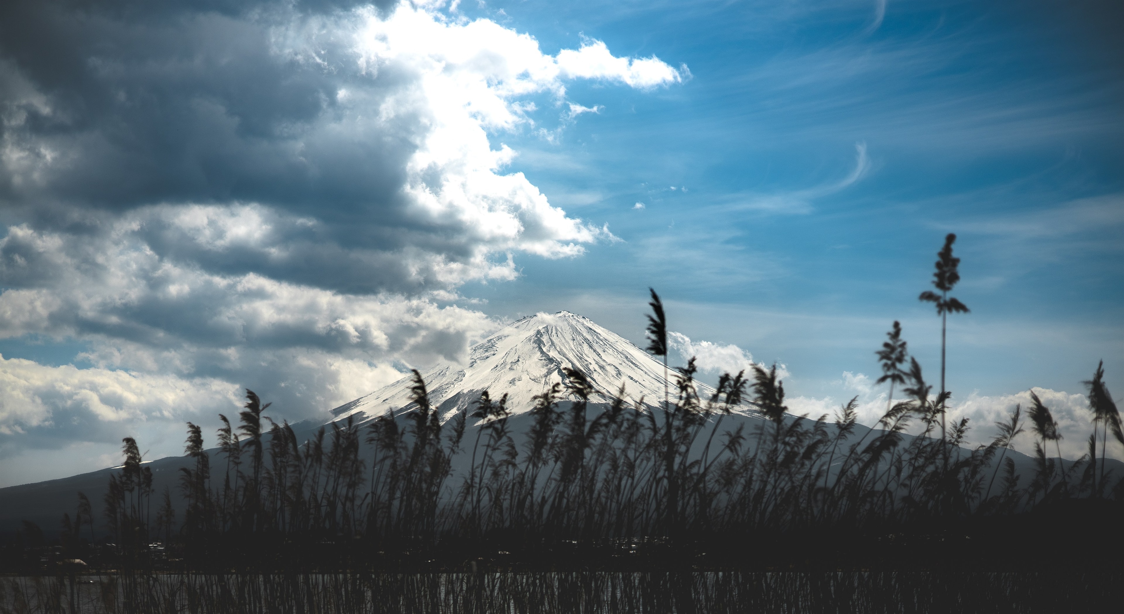 Mount Fuji rising above a lake, snow-capped and lit by afternoon sun, silhouetted reeds framing the foreground.