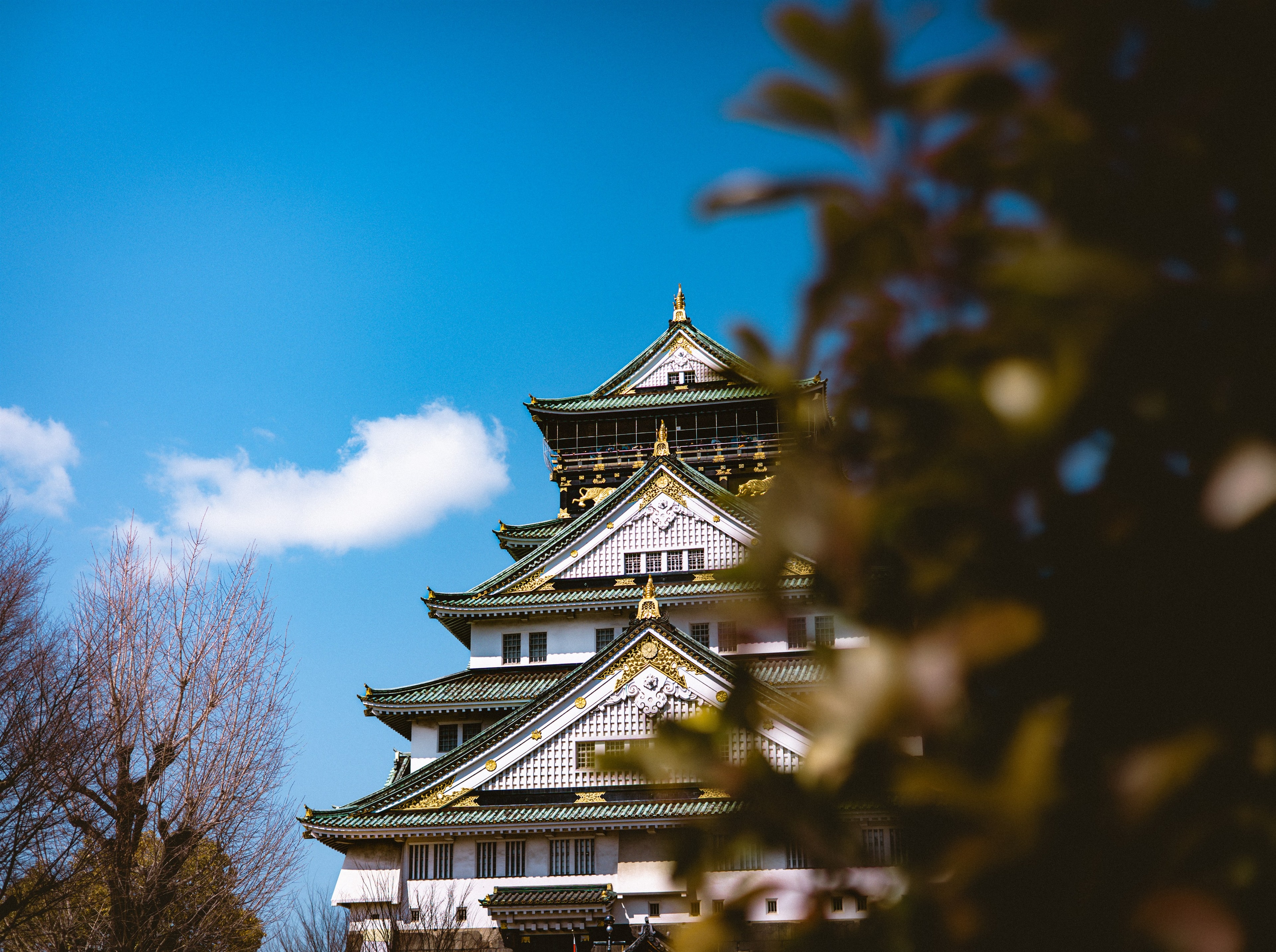 Osaka Castle's gilded roofline against a clear blue sky, spring branches framing the foreground.